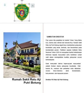 CAPAIAN INDIKATOR MUTU RSUD RATU AJI PUTRI BOTUNG